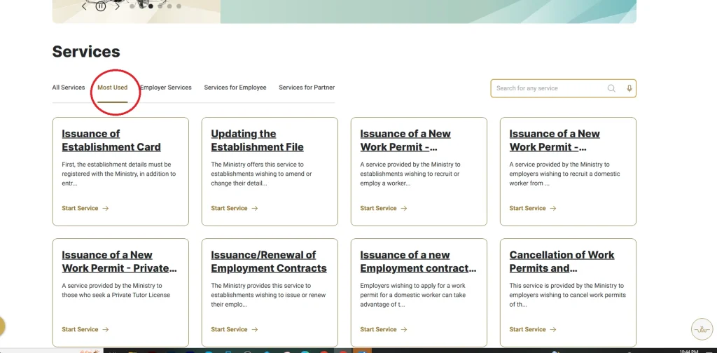 uae-services-portal-most-used-tab-showing-work-permit-and-establishment-service-options-list