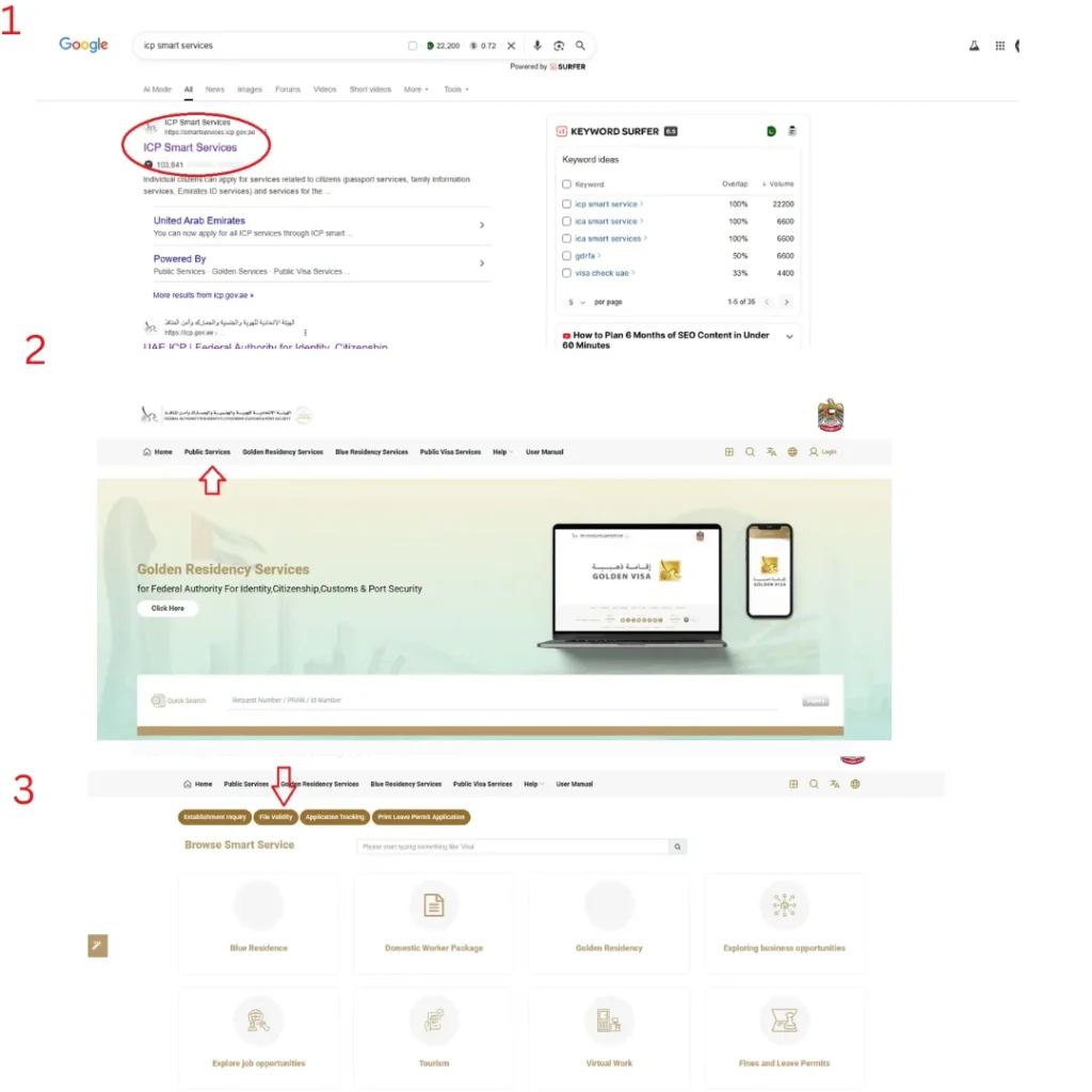 icp-smart-services-site-click-then-public-services-option-and-file-validity-selection-step-by-step-navigation